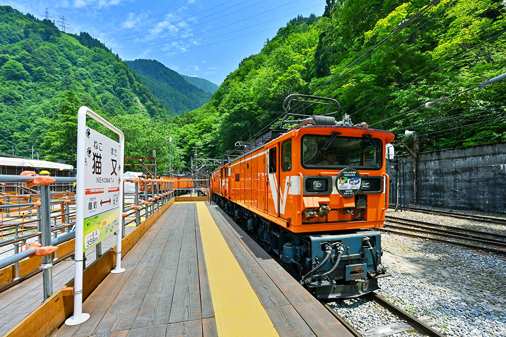 猫又