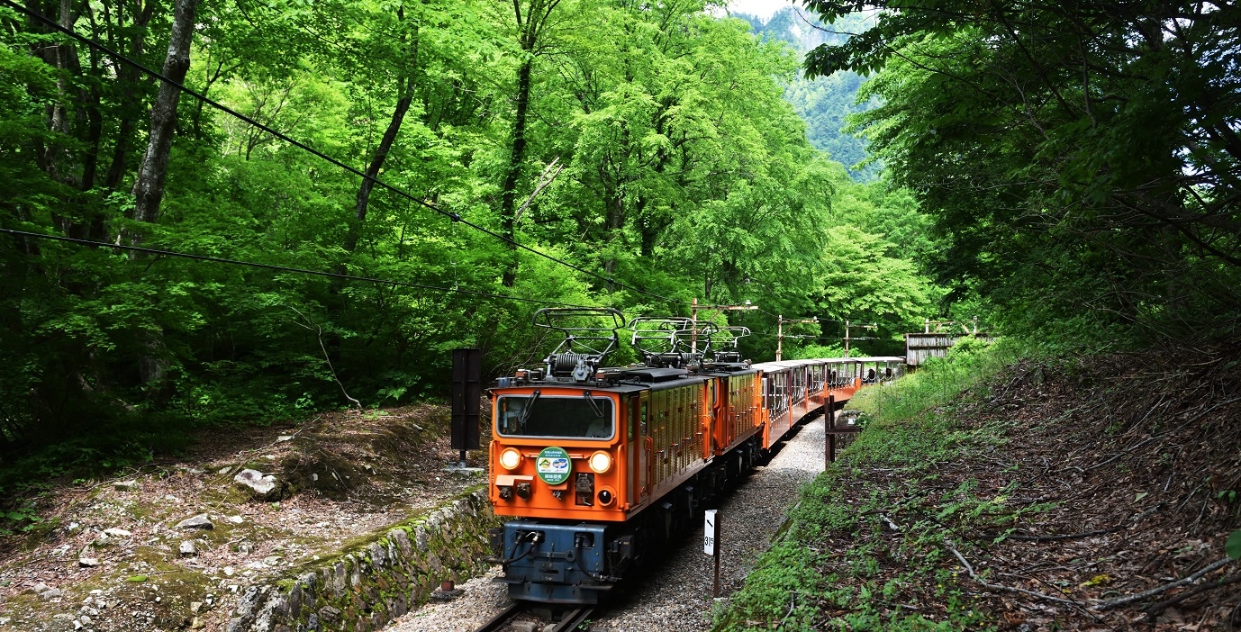 トップイメージ